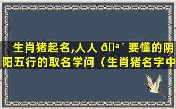 生肖猪起名,人人 🪴 要懂的阴阳五行的取名学问（生肖猪名字中带什么字必定一生富 🌼 足）